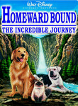Movie cover for Homeward Bound: The Incredible Journey
